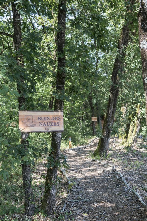Вилла Bois Des Nauzes Seyches Экстерьер фото